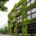 A vertical garden on the facade of the Quai Branly Museum